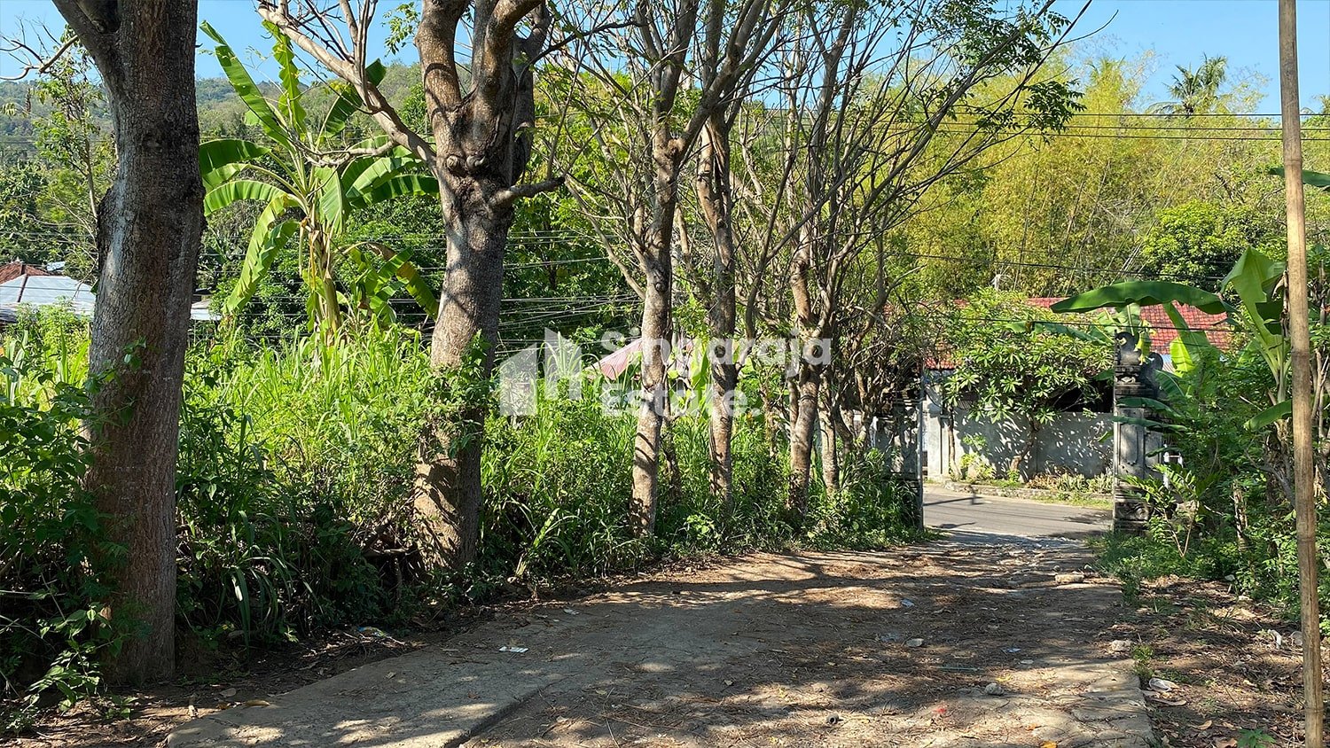 19 Are Land Roadside in Kaliasem Lovina - Image 6